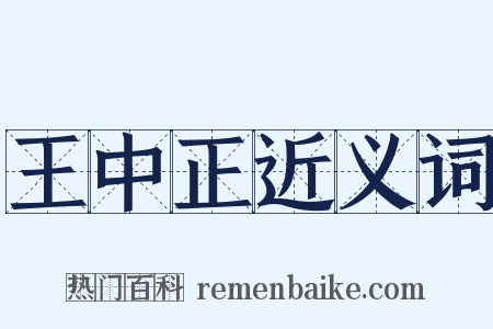 王中正近义词是什么意思的图片